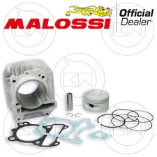 Malossi 3111393 trasformazione usato  San Marco Evangelista