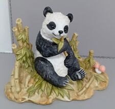 Black white panda for sale  WITHAM