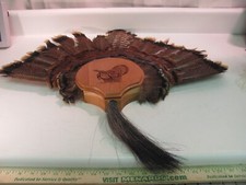 Turkey trophy tail for sale  Lawrenceburg