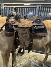Corriente roping aound for sale  Ashland
