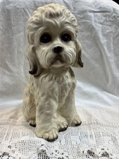 Norleans 9.5 dog for sale  Lake City