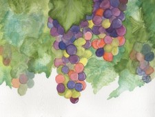 Original watercolor grapes for sale  Weatherford