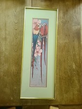 Scarlet macaw framed for sale  Milwaukee