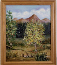 California quails orchard for sale  Reno