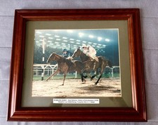 Horse racing mounted for sale  DEREHAM