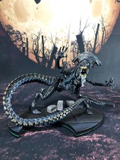 Alien queen fig for sale  HEMEL HEMPSTEAD
