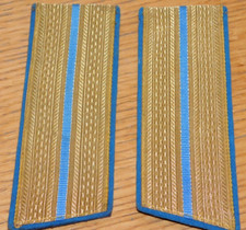 Lot grade epaulette d'occasion  Saint-Louis