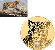Leopardo africano 1000 usato  Ciampino