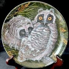 Wedgwood long eared for sale  DISS