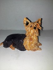 yorki dog for sale yorki dog for sale Franklin
