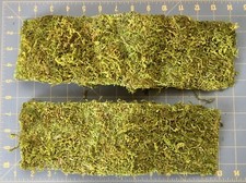 Lot two firm for sale  Missoula
