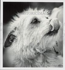 1983 press photo for sale  Memphis