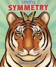 Seeing symmetry paperback for sale  Montgomery