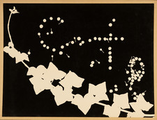 Usado, Photogramme   Tirage argentique d'époque  31,5x41  Circa 1970     Tira comprar usado Usado, Photogramme   Tirage argentique d'époque  31,5x41  Circa 1970     Tira comprar usado  Enviando para Brazil