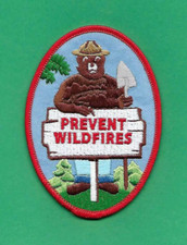 1984 smokey bear for sale  Troutville
