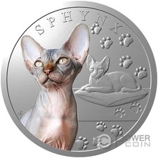 Sphynx razze gatti usato  Ciampino