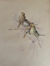 Hector giacomelli. oiseaux. d'occasion  Rennes-