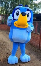 Hire bluey lookalike for sale  ELLESMERE PORT