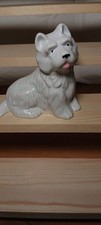 Wade white westie for sale  LEIGHTON BUZZARD