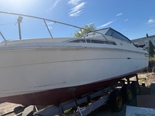 ray 33 sea for sale ray 33 sea for sale Lodi