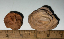 Barite rose rock for sale  Kuna