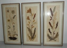 Vintage bilder getrockneten gebraucht kaufen  Limburg a. d. Lahn