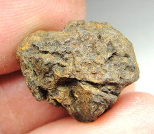 Nwa 7920 pallasite for sale  Hebron