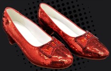 Wizard ruby slippers for sale  Bradford