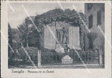 Bl520 cartolina treviglio usato  Tramonti