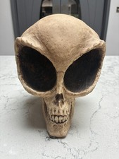 Alien skull area for sale  LONDON
