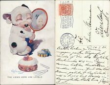 Bonzo dog studley for sale  MANCHESTER