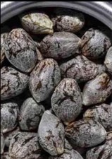 Hemp seeds organic for sale  Modesto