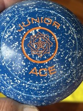 Taylor junior ace for sale  CANTERBURY