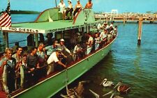 Feeding pelicans successful for sale  Boiling Springs