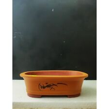 Vaso bonsai ovale usato  Isernia