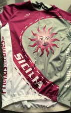 Herren fahrrad trikot gebraucht kaufen  Bretten