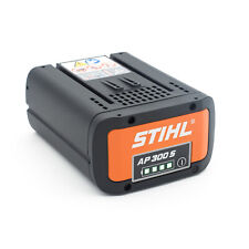 Stihl 300 lithium gebraucht kaufen  Schauenburg