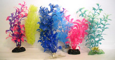 assorted aquarium plants for sale assorted aquarium plants for sale Boise