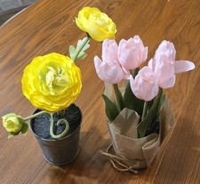 small decor plants for sale small decor plants for sale Cleveland