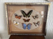 Fabulous vintage framed for sale Fabulous vintage framed for sale  LIVERPOOL