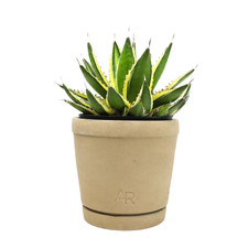 Altman reserve quadricolor for sale  Ford City
