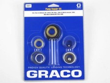 Kit riparazione pompa usato  Spedire a Italy