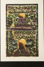 Maurizio galimberti 50x70 usato  Mirano