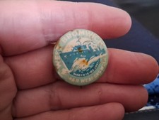Vintage badge rare for sale  KINGSWINFORD