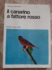 Canarino fattore rosso usato  Villorba
