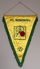 Vecchio gagliardetto f.c. usato  Cavaria con Premezzo