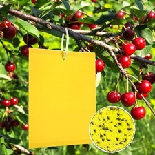 Pezzi trappole acchiappa usato  Italia
