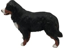 bernese mountain dog for sale bernese mountain dog for sale DARTFORD