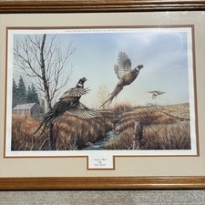 Rick morkel 1990 for sale  Tecumseh
