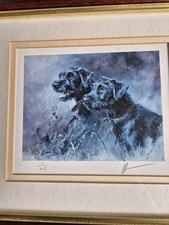 Mick cawston patterdales for sale  BARNSLEY